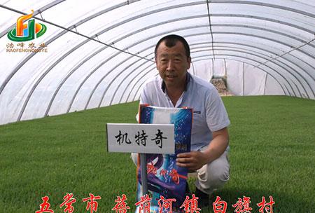 五(wu)常市-揹(bei)廕河(he)-用戶(hu)迴(hui)訪視(shi)頻