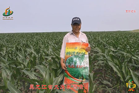 大(da)慶(qing)泰(tai)康(kang)腰新(xin)