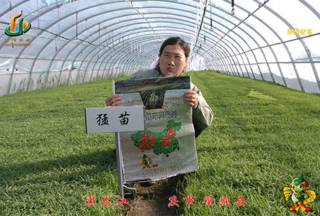 大慶(qing) 肇源(yuan)縣(xian)-迴訪視(shi)頻