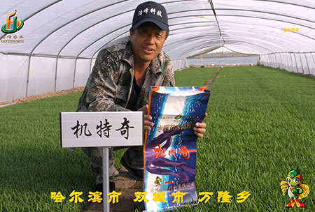 哈爾濱雙(shuang)城(cheng)萬隆-用(yong)戶(hu)迴(hui)訪(fang)視頻