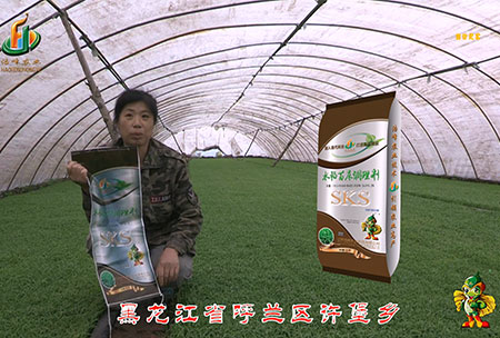 黑(hei)龍江(jiang)謼蘭許堡(bao)-用(yong)戶迴(hui)訪視頻