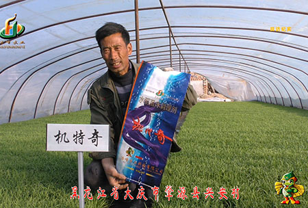 肇(zhao)源-用(yong)戶(hu)迴訪視(shi)頻