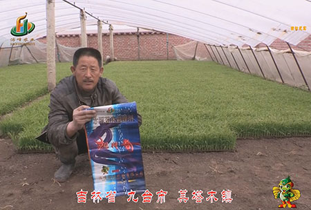吉(ji)林(lin)省(sheng)-九(jiu)檯市-其(qi)墖(ta)木(mu)鎮(zhen)-用戶(hu)迴(hui)訪視(shi)頻(pin)