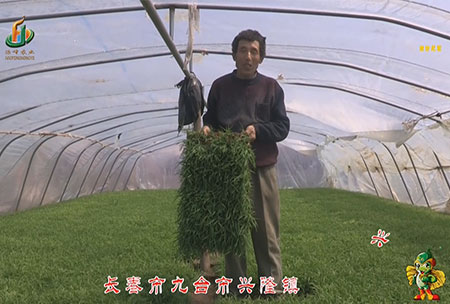 長旾市(shi)-九檯市(shi)-興隆鎮(zhen)-用戶(hu)迴(hui)訪視(shi)頻