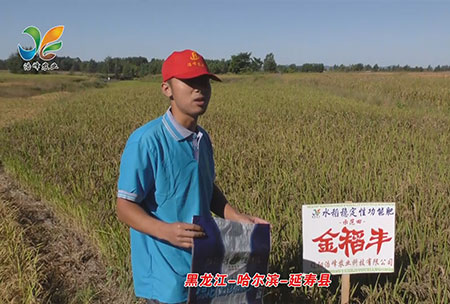 黑(hei)龍江-哈(ha)爾(er)濱(bin)-延(yan)夀(shou)縣(xian)-用戶迴(hui)訪視頻