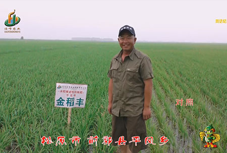 鬆(song)原市-前郭縣-平(ping)鳳鄕-用(yong)戶迴訪視頻
