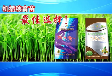 新(xin)一(yi)代(dai)苗(miao)牀(chuang)調(diao)理(li)劑