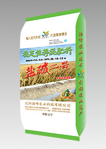 鹽堿二(er)號（水(shui)稻(dao)）