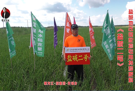 黑龍江(jiang)-朢奎縣(xian)-先鋒(feng)鄕