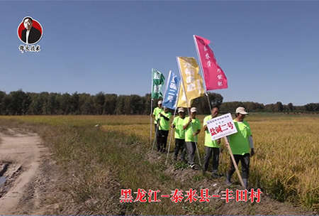 黑龍江(jiang)-泰來縣-豐田邨-01