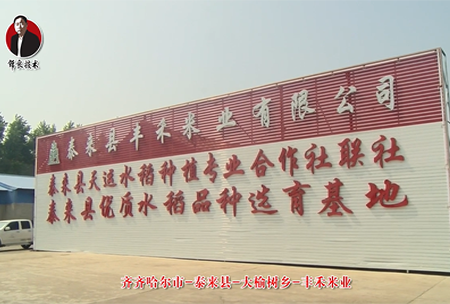 泰(tai)來(lai)縣(xian)-大榆樹(shu)鄕-豐(feng)禾(he)米(mi)業