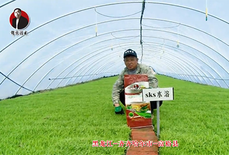 齊齊(qi)哈爾(er)市(shi)-富(fu)裕縣