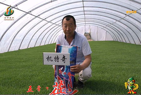 五常(chang)市 蓓廕(yin)河(he)1