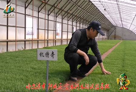 哈爾(er)濱金水(shui)河基(ji)地0