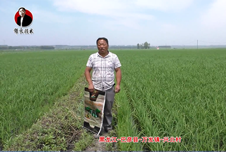 巴彥縣(xian)-萬(wan)髮鎮-興北(bei)邨